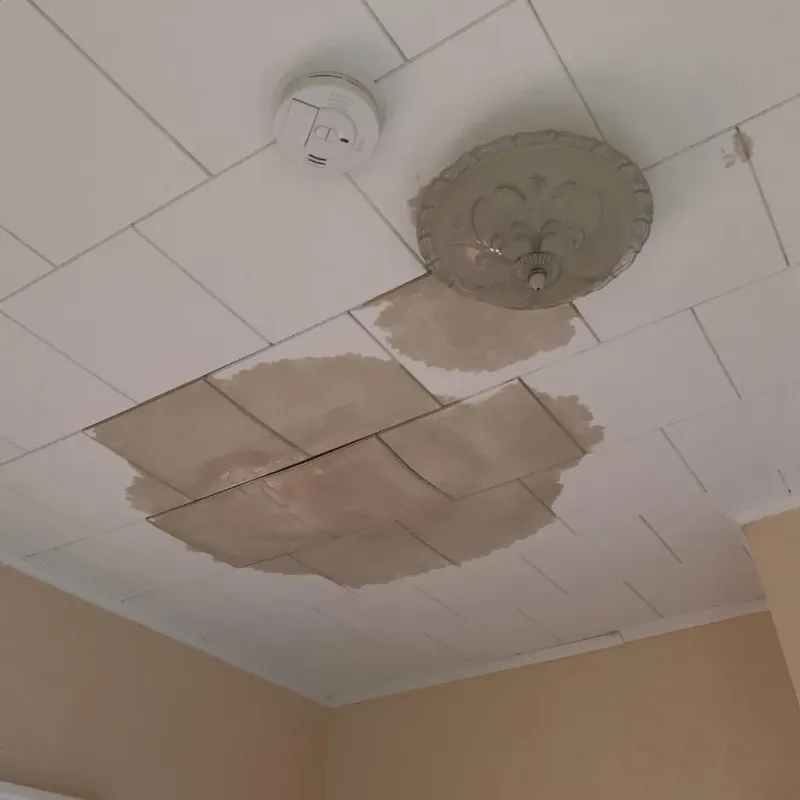 Ceiling Water Damage Repair in Waterman, IL