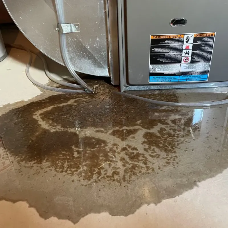 Pipe Burst and Leak Restoration in Waterman, IL