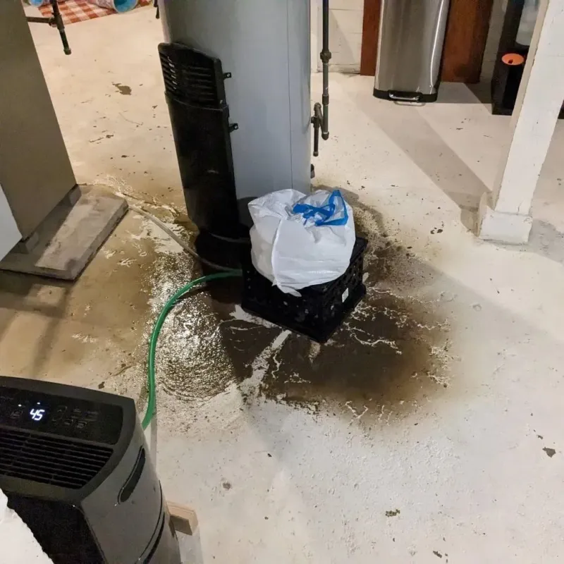 Sewage Backup Cleanup Service in Waterman, IL